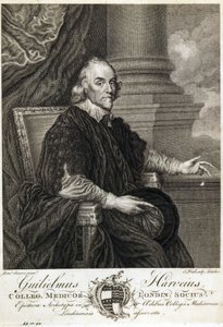 William Harvey, englantilainen lääkäri tekijältä Unbekannt