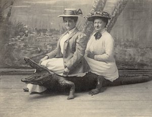 Naiset istuvat täytetyllä alligaattorilla, n. 1905 (b/w kuva) tekijältä Unbekannter Künstler