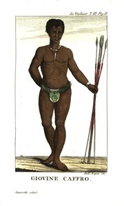 Nuori san-mies keihäiden kanssa, Etelä-Afrikka. Francois Le Vaillantilta (Levaillant). tekijältä Unbekannter Künstler