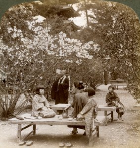 Perhe nauttimassa piknikistä kirsikankukkien alla, Omuro Gosho, Kioto, Japani, 1904. tekijältä Underwood and Underwood