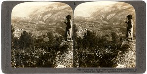 Silkkiäistoukkien viljelmä Libanonin vuoristossa, Syyriassa, 1900-luku.