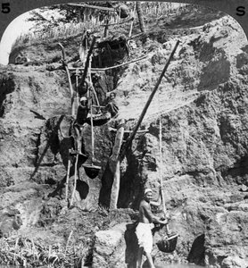 Egyptiläinen shaduf nostamassa Niilin vedet janoisille pelloille, Egypti, 1905.