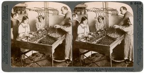 Silkin valmistus, Syyria, 1900-luku. tekijältä Underwood and Underwood