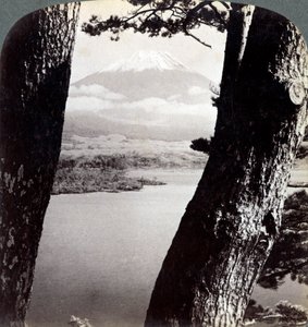 Fuji-vuori, katsottuna luoteesta, mäntyjen läpi Motosu-järvellä, Japanissa, 1904 tekijältä Underwood and Underwood