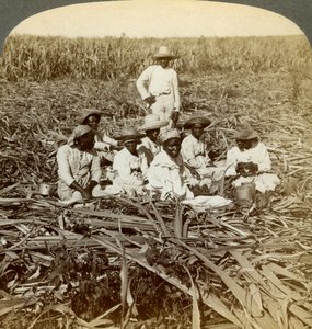 La Unionin sokeriviljelmällä, San Luisissa, Santiagon maakunnassa, Kuubassa, 1899. tekijältä Underwood and Underwood