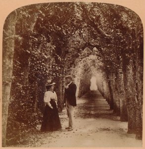 Queen Marys Bower, Hampton Court, Lontoo, Englanti, 1896. tekijältä Underwood and Underwood