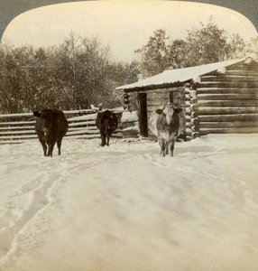 Talvi karjatilalla, Montana, USA. tekijältä Underwood and Underwood
