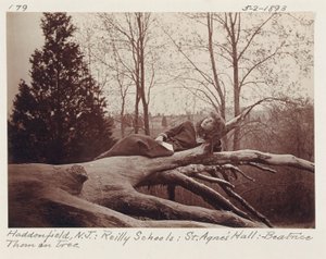 [Beatrice Thom puun päällä, Haddonfield, New Jersey] tekijältä Unidentified