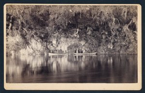 [Withlacoochee-joen jyrkänteiden alla, Florida] tekijältä Unidentified