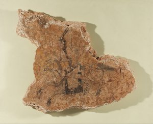 Fragmentti seinämaalauksesta, jossa on ratsastaja tekijältä Unknown