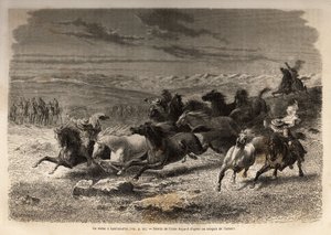 Rodeo Lauramarcassa (Ala-Peru), villihevosten pyydystäminen, ennen niiden rautamerkintää alueen omistajan nimikirjaimilla, jota pidettiin täydellisenä spektaakkelina, monia badaudeja kokoontui. Kaiverrus havainnollistamaan matkaa Quinquinin laaksoissa tekijältä Unknown artist
