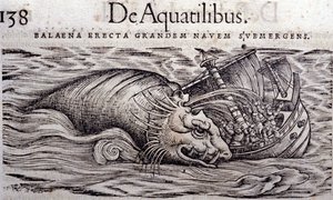 Valas tuhoaa veneen rungon ja aiheuttaa sen uppoamisen. Conrad Gesnerin (1516 - 1565), Tigurin kaiverrus Historia Animalium tekijältä Unknown artist
