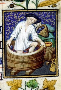 Syyskuun allegorinen esitys. Sadonkorjuu, rypäleiden poisto. Miniatyyri 1300-luvun käsikirjoituksesta. tekijältä Unknown artist