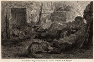 Siniketut puremassa havaintoaseman turvakodissa nukkuvien merimiesten kenkiä, V. Foulquierin piirros havainnollistamaan Huippuvuoria tekijältä Unknown artist