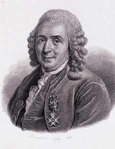 Carl Von Linné ruotsalainen luonnontieteilijä ja kirjailija (1707 - 1778) - "Hyödyllisten miesten muotokuva" tekijältä Unknown artist