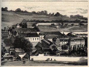 Clairvaux
