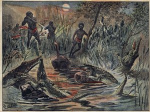 Krokotiilin metsästys Nigerissä lapsen kanssa syöttinä. Kuvitus "" Le Pelerin" -lehdessä 4. joulukuuta tekijältä Unknown artist
