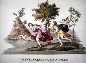 Apollon jahtaa Daphnea - mytologisessa sanakirjassa tekijältä Unknown artist