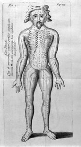 De Acupunctura, kirjoittanut W.Ten Rhijn. Lontoo 1683. Ensimmäinen akupunktiota käsittelevä länsimainen teksti. tekijältä Unknown artist