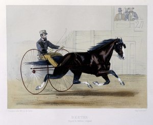 Dexter trotteur - elokuvassa "" Kentauri"" tekijältä Unknown artist