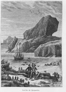 Löytöjä ja tutkimusmatkoja: Kerguelenin saaret - teoksessa Les voyageurs du 18th et 19th century, kirjoittanut Jules Verne, toim. Hetzel et Cie, Pariisi. tekijältä Unknown artist