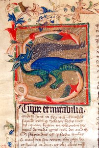 Dragon Decoree Lettrine Yksityiskohta 1300-luvun käsikirjoituksesta tekijältä Unknown artist