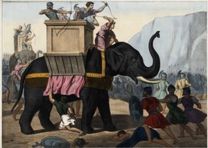 Eleazar Maccabee (Maccabee tai Maccabee) taistelee juutalaisten rinnalla Seleukides-sortoa vastaan. Anonyymi kaiverrus 1800-luvun puolivälistä. tekijältä Unknown artist