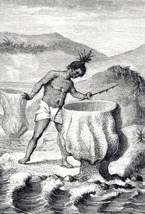 Kaiverrus, joka kuvaa erilaisia sieniä nimeltä Neptunuksen pikari (Thalassema Neptune) tekijältä Unknown artist