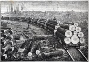 Yhdysvaltain metsien hyödyntäminen. Väliaikaiset rautatiet puuraiteella. Puunrunkoja kuljettavat vaunut. Kaiverrus "" La Nature"" tekijältä Unknown artist