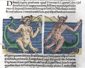 Upeita olentoja: Niilissä nähty newt ja sireeni. Kaiverrus Wolfhartin (Conrad Lycosthene) teoksesta "Le livre des prodiges" (Basileaen tuhlaajapoikien kroniikka) vuodelta 1557 tekijältä Unknown artist