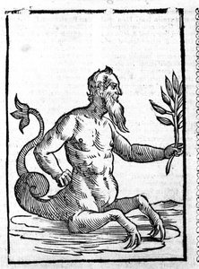 Glaukosia taikaruoholla, jonka ansiosta hän voi elää meressä - in Mythologiae sive magyarázata fablerum de Natalis Comitis. Patavia tekijältä Unknown artist