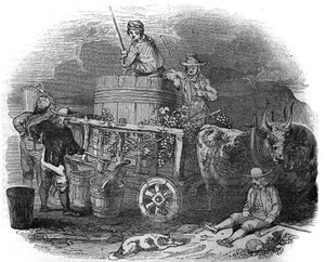 Harvesteri Polassa (Pula) (Istria) Kroatiassa 1800-luvulla. tekijältä Unknown artist