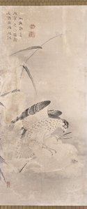 Hawks and Prey (muste paperille) tekijältä Unknown artist