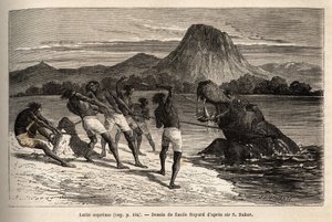 Virtahepo metsästää Houarti-heimon kanssa harppuunoilla ja keihäillä, raivoissaan eläimissä lastataan ja vastustetaan. Sir Samuel W. Bakerin kaiverrus, joka havainnollistaa Niilin Abessinian sivujokien tutkimusta vuosina 1861-62, julkaistu "" Le tour du mo tekijältä Unknown artist