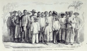 Ranskan siirtomaiden historia: Guadeloupessa työskentelevät kiinalaiset siirtolaiset. Piirros valokuvan perään 1800-luvun lopun Chartres musee des Beaux Artsista tekijältä Unknown artist