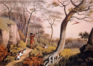 Fasaanien metsästys Englannissa. 1800-luvun kaiverrus. Gien, metsästysmuseo tekijältä Unknown artist