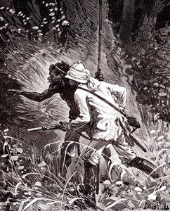 Kumipelloilla (Hevoea) Guyanan viidakossa tekijältä Unknown artist