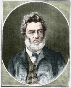 Jules Favre (1809-1880), ranskalainen poliitikko ja lakimies. tekijältä Unknown artist