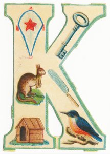V: Hyönteiset, leijat, kengurut, havupuut, kennelit, kingfishers (musta litho) tekijältä Unknown artist