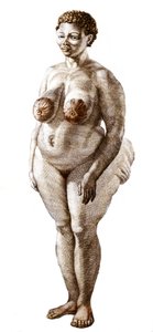 La Venus Hottentote, nainen, rotu Bochiman (The Hottentot Venus,) kaiverrus vuodelta 1815. tekijältä Unknown artist