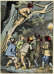 Pikku Poucet kiipeää puuhun ja etsii tietä. Hän poimii valoa metsästä. Kuvitus Charles Perraultin tarinasta "" Le Pepetit Poucet" tekijältä Unknown artist