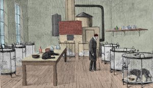 Louis Pasteur (1822-1895), ranskalainen kemisti ja fyysikko laboratoriossaan Pariisissa. tekijältä Unknown artist