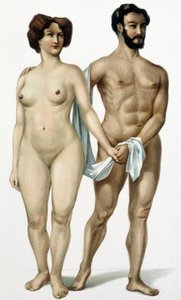 Mies ja nainen - lääketieteen kirja, 1800-luvun loppu tekijältä Unknown artist