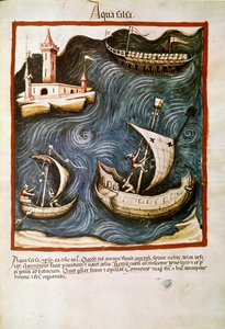 Lääkekauppa: ""suolavesi"" Sivu otettu julkaisusta ""Tacuinum sanitatis"" (Cod. ser. nov. 2644) Noin 1400 Wien, Itävallan kansalliskirjasto tekijältä Unknown artist