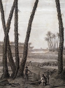 Memphis, näkymä raunioista (tieteilijät ja työskentelevät taiteilijat) - julkaisussa "Egyptin kuvaus", Imperial Editions tekijältä Unknown artist