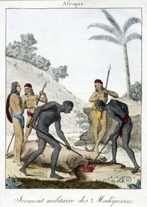 Madagaskarin asukkaiden sotilaallinen vala (teurastettu härkä) - grv. 1811 tekijältä Unknown artist