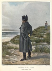 Napoleon St. Helenassa tekijältä Unknown artist