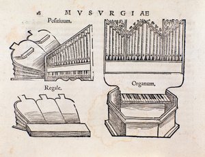 Elinten edustus. Sivu otettu Musurgian käytännön musiikin käsikirjasta tekijältä Unknown artist
