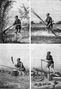 Paperinvalmistus Kiinassa Louis Figuierin teoksessa ”Teollisuuden ihmeet”, Pariisi tekijältä Unknown artist