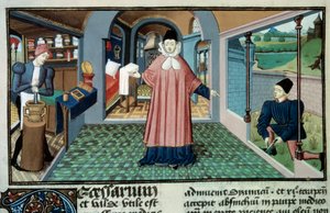 Apteekki: "" Apteekkari, kasvien poimiminen ja lääkkeiden valmistus"" Miniatyyri otettu Bernard de Gordonin "" L